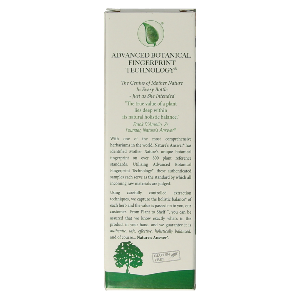 Natures Answer Turmeric-3 Curcuma extract alcoholvrij 30.00 Milliliter
