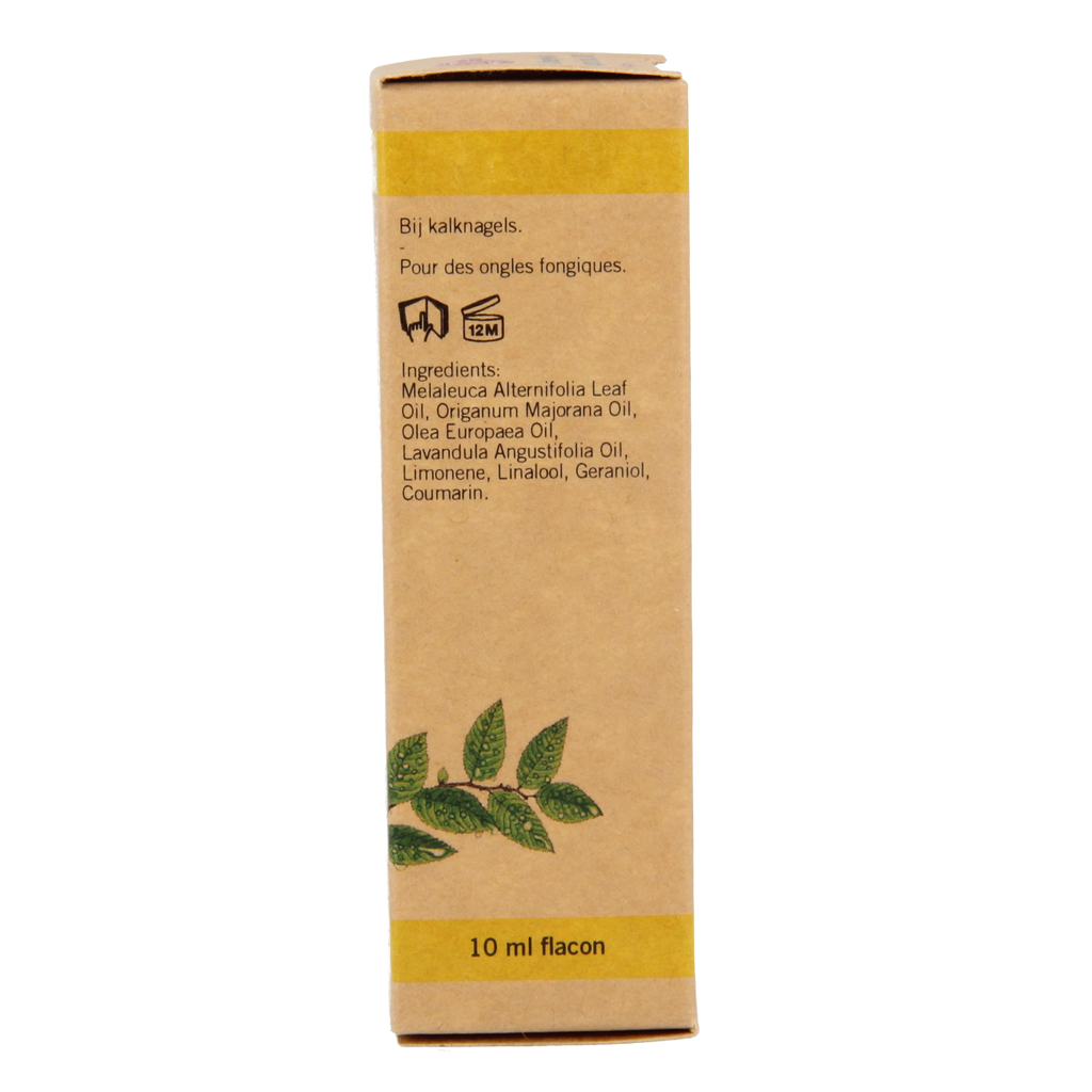 Aromed Ferula kalknagel olie 10.00 Milliliter